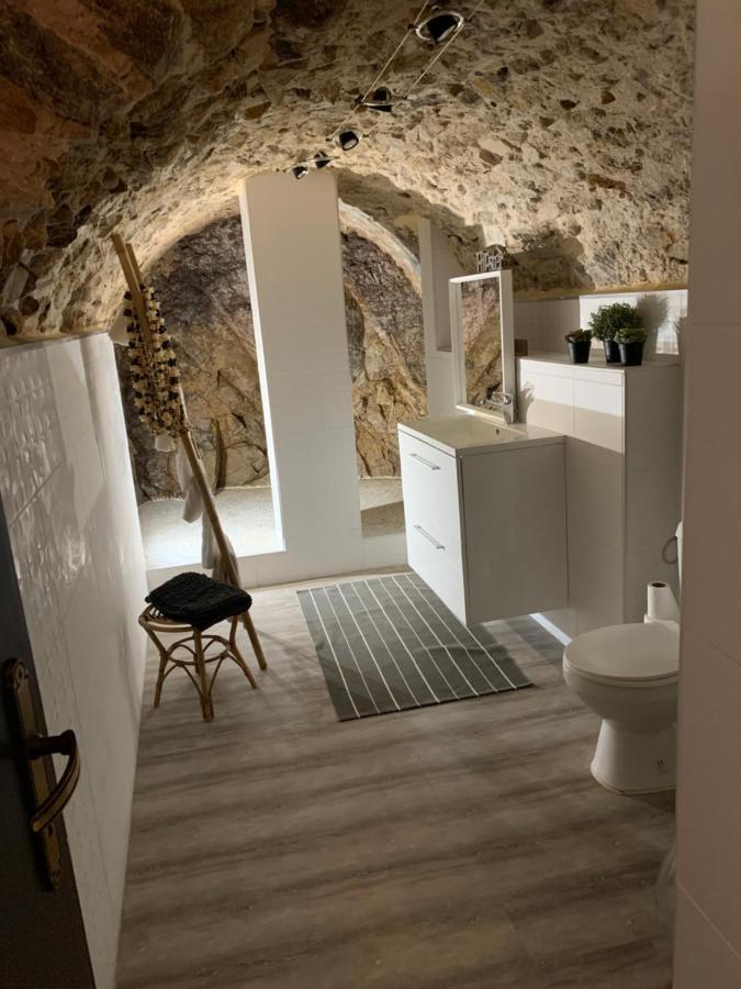 Appartement Cosy Le Balloon Avec Wifi Аноне Екстериор снимка
